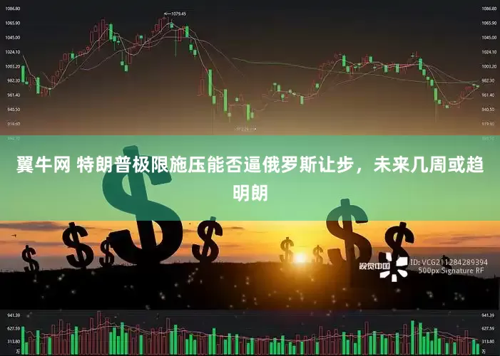 翼牛网 特朗普极限施压能否逼俄罗斯让步，未来几周或趋明朗