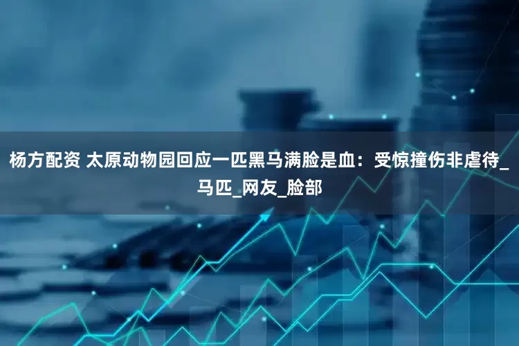杨方配资 太原动物园回应一匹黑马满脸是血：受惊撞伤非虐待_马匹_网友_脸部