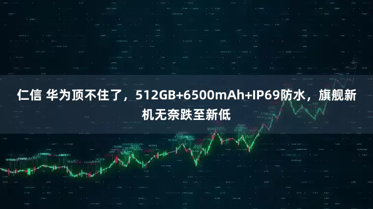 仁信 华为顶不住了，512GB+6500mAh+IP69防水，旗舰新机无奈跌至新低